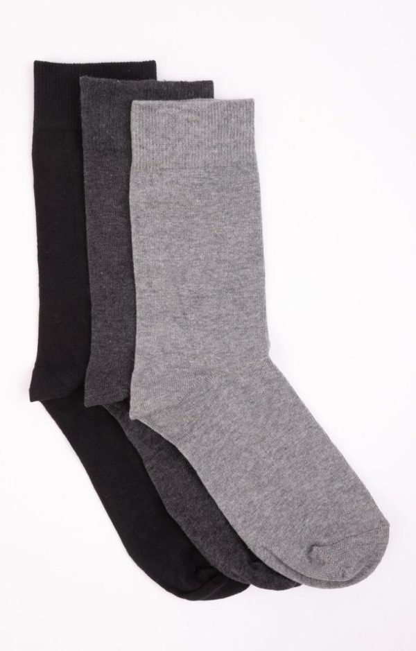 Lollydewez.shop2e568844e6 1