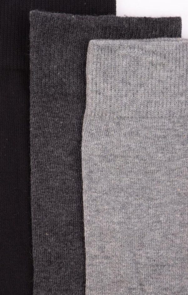 Lollydewez.shop2e568844e6 2