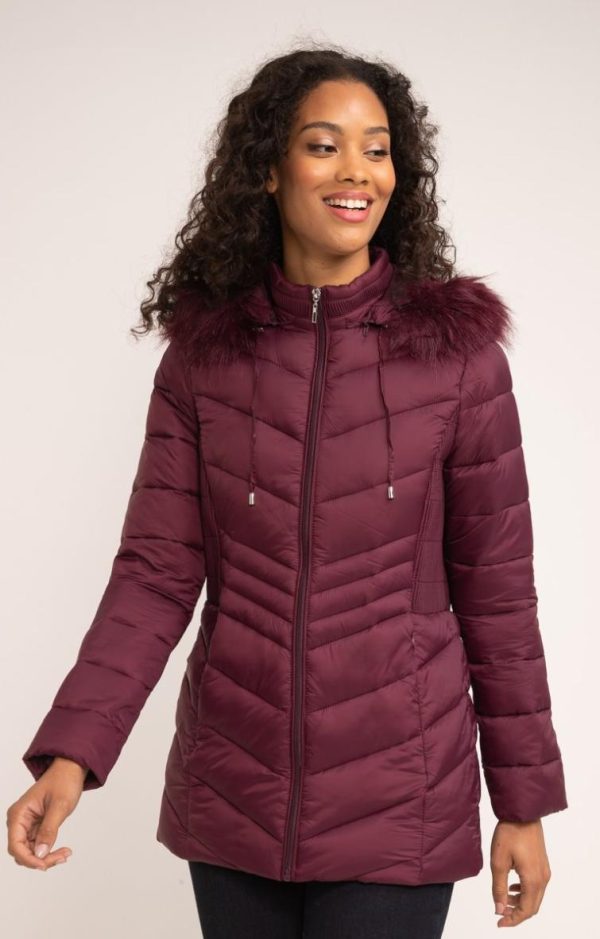 Lollydewez.shop41aa5a5066 1