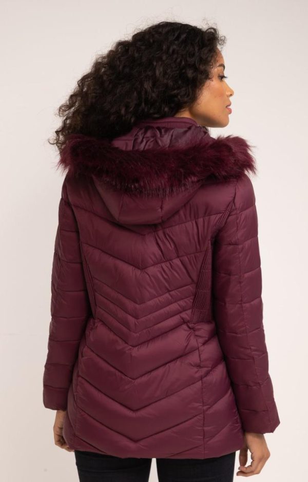 Lollydewez.shop41aa5a5066 2