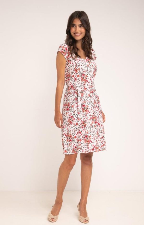 Lollydewez.shop4e087fe552 1