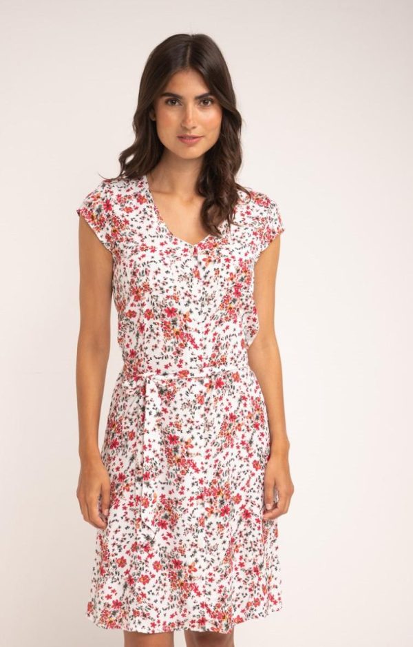 Lollydewez.shop4e087fe552 3