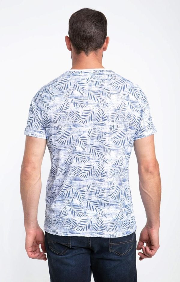 Lollydewez.shop50c559f2fb 2