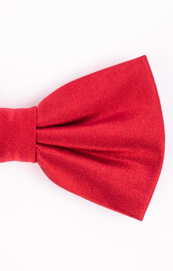 Lollydewez.shopa0de265d39 2