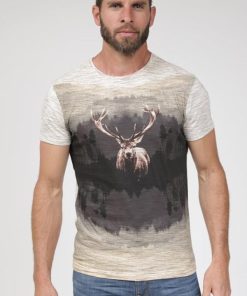 Lollydewez.shopc1c093ed74 1