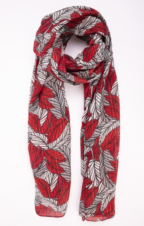 Lollydewez.shopccf72a3f4b 1