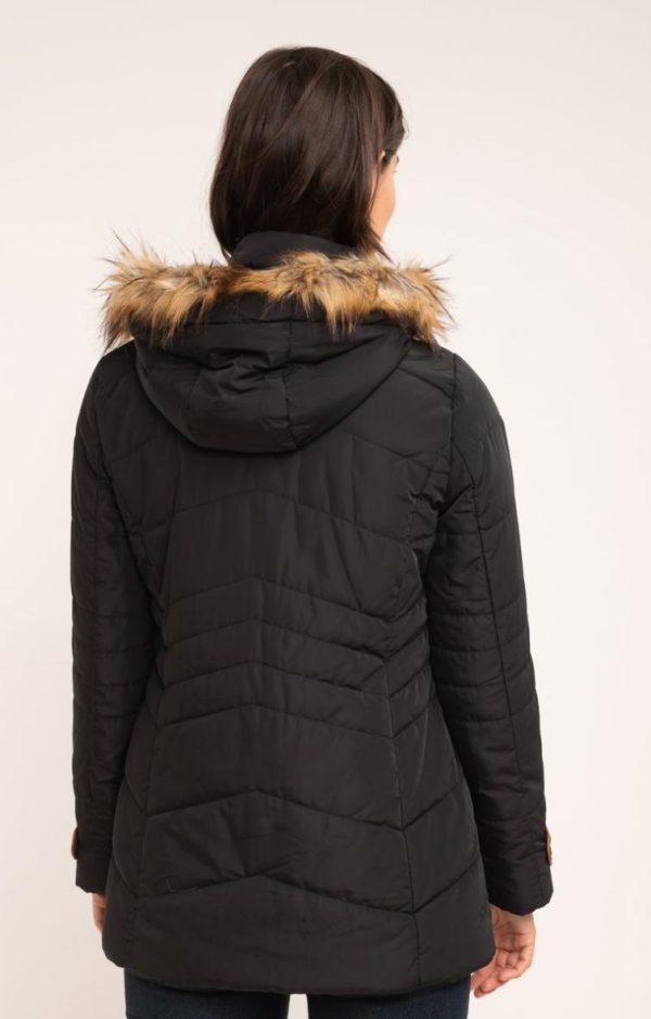 Lollydewez.shopfc49e3dc16 2